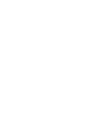 Professor of Bubbleology Professor of Bubbleology