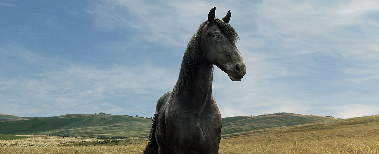 191017_lloyds_brexit_horse_d_1x 191017_lloyds_brexit_horse_d_1x
