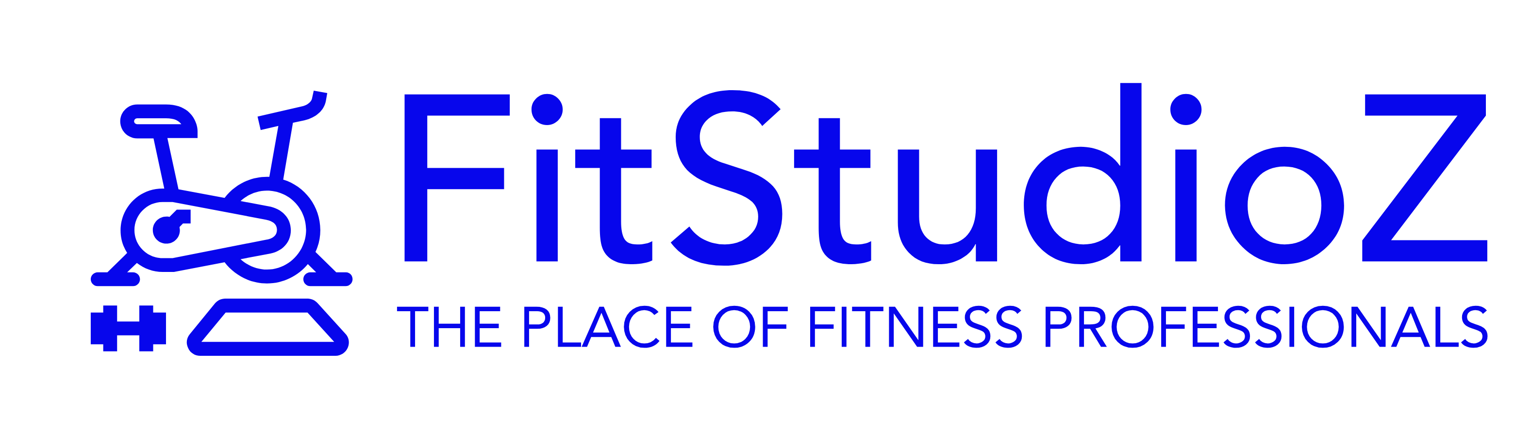 FitStudioz Logo FitStudioz Logo