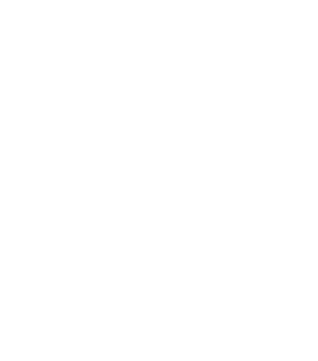 Professor of Bubbleology Professor of Bubbleology