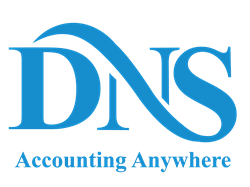 dns-logo